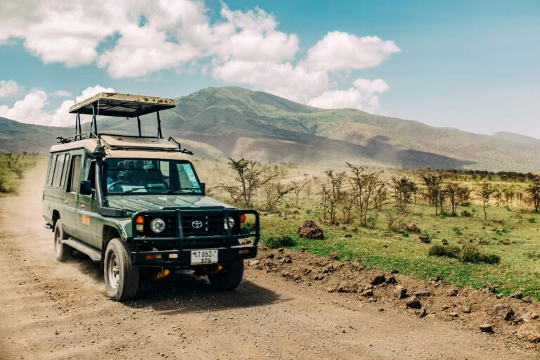 Safari vehicle exploring the plains during a Tanzania safari