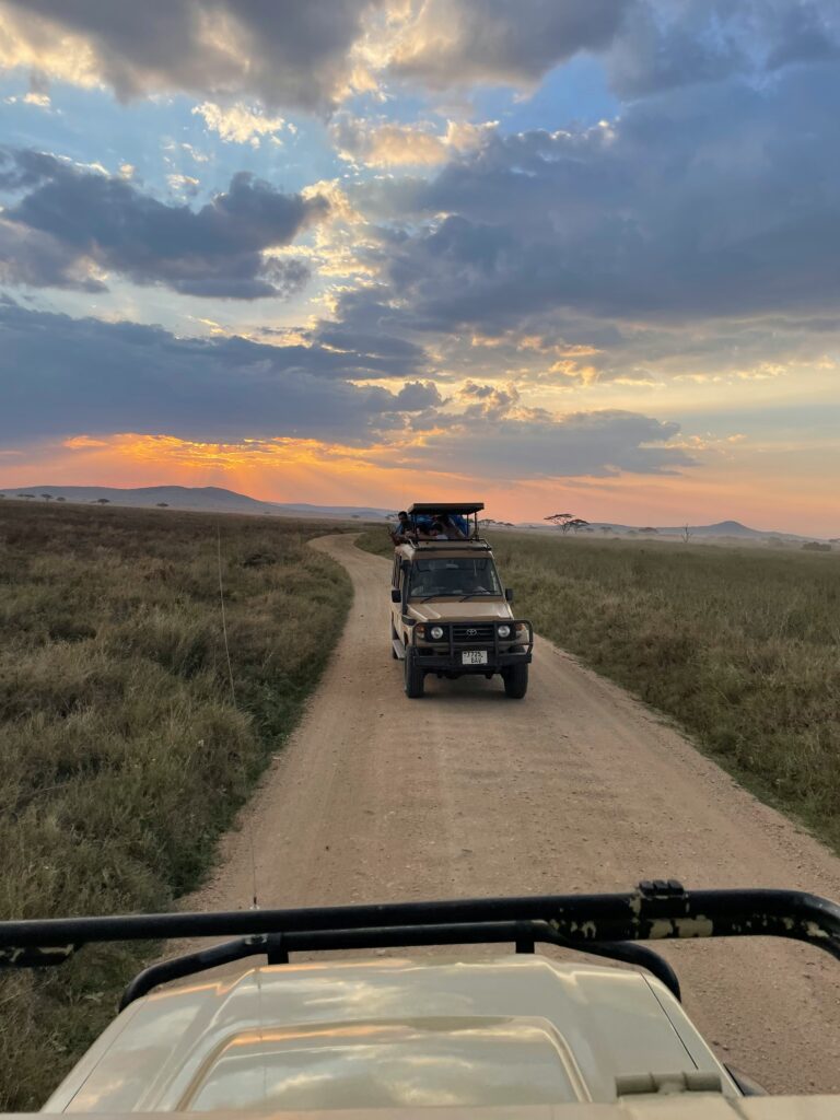 Tanzania safari company creating private safari experiences